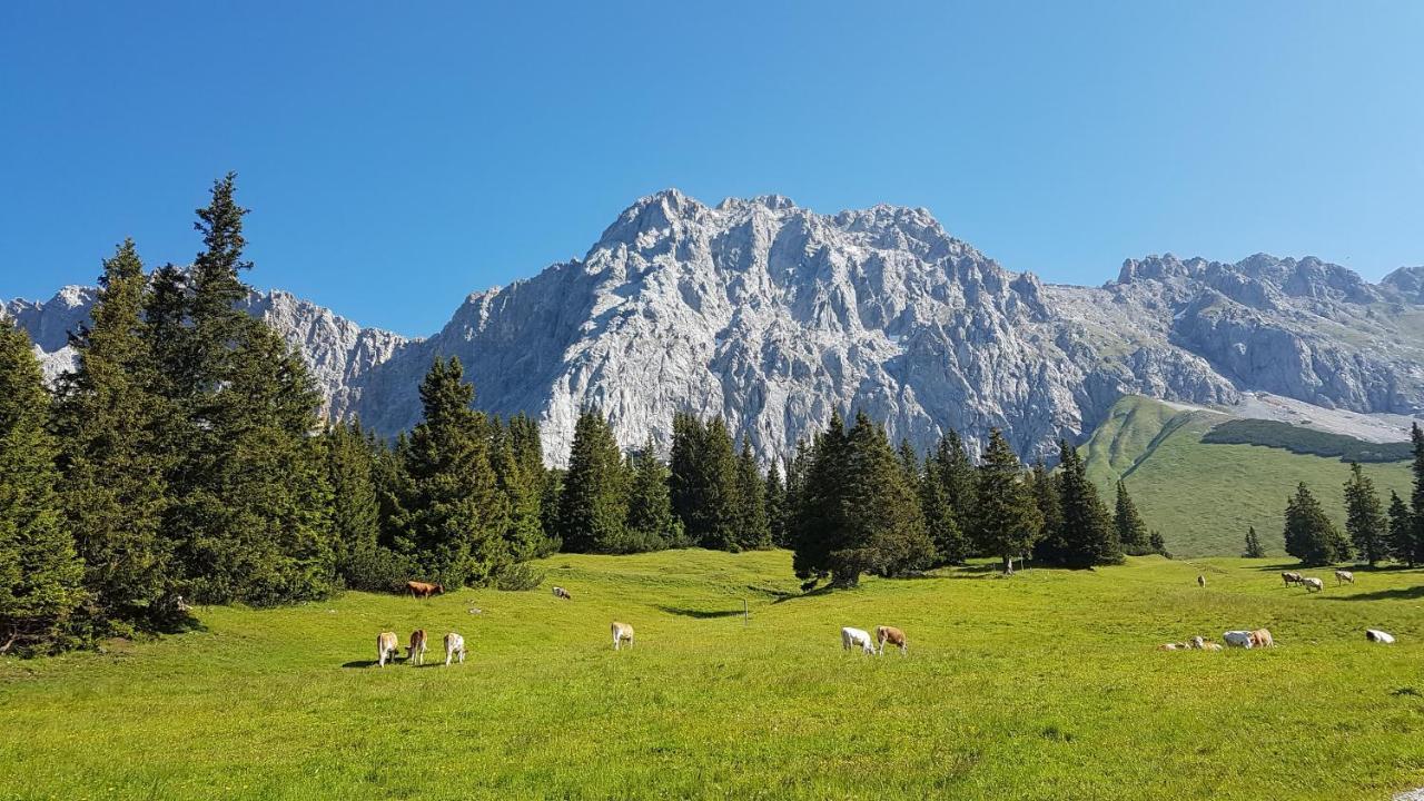 Ferienhaus Villa Alpenpanorama Ohlstadt Dış mekan fotoğraf