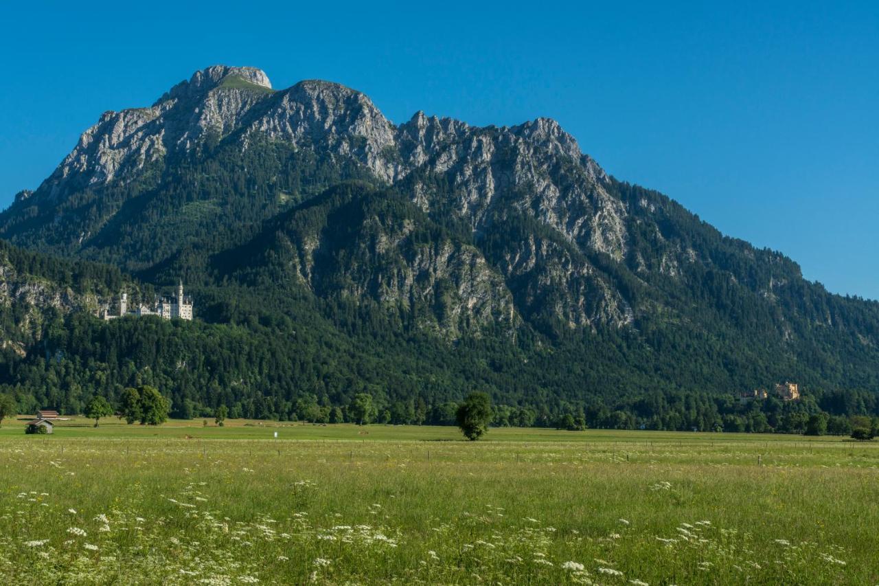 Ferienhaus Villa Alpenpanorama Ohlstadt Dış mekan fotoğraf